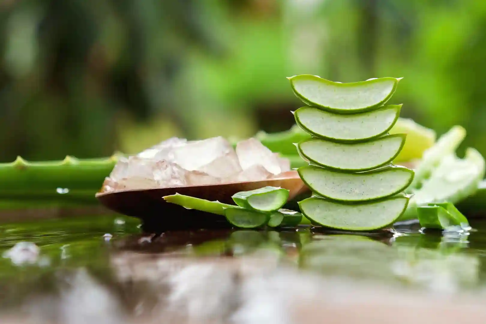 Aloe Vera for Skin, Hair & Health: Unlock Its Full Benefits.