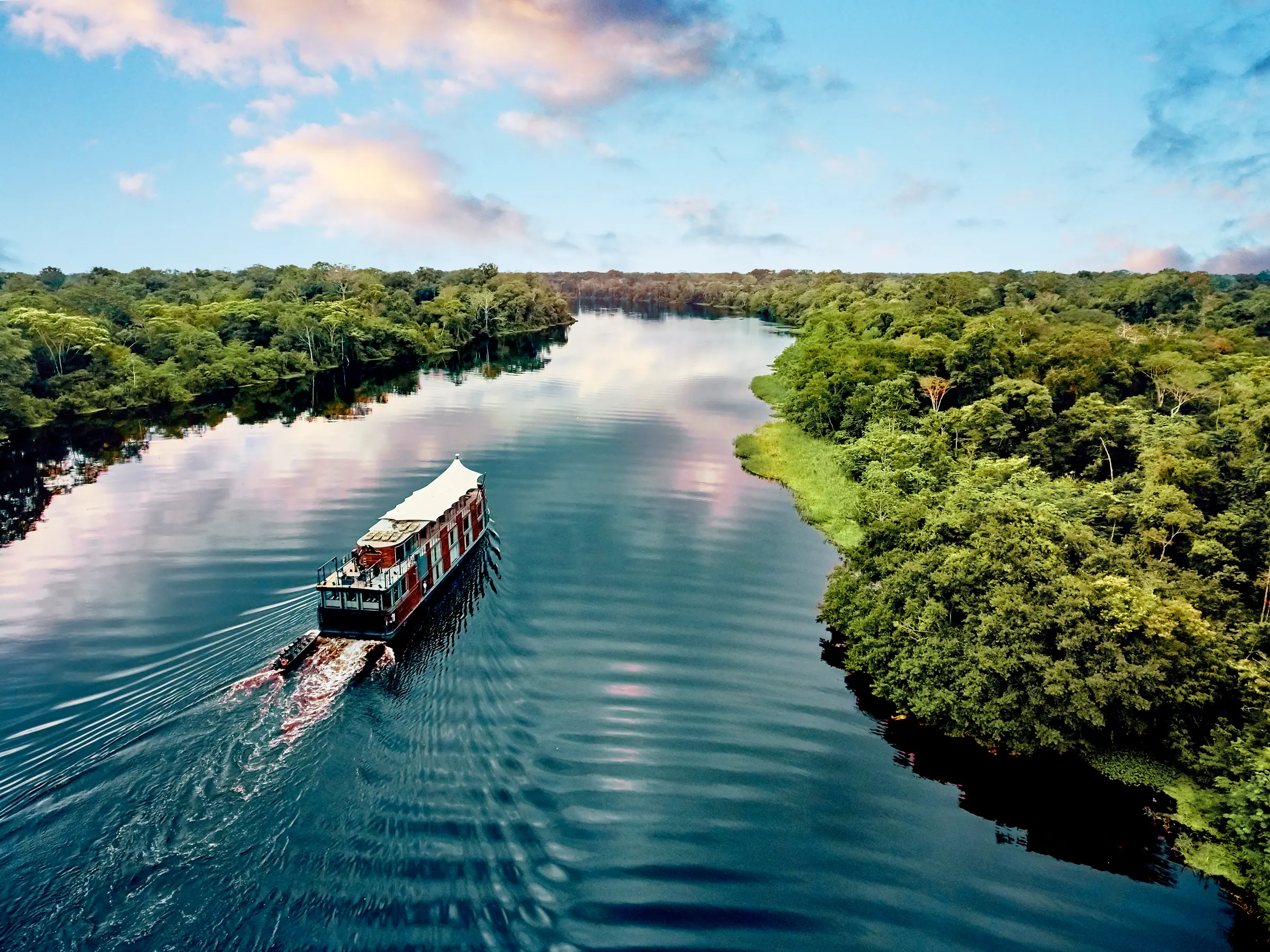 The Amazing story of Amazon Forest